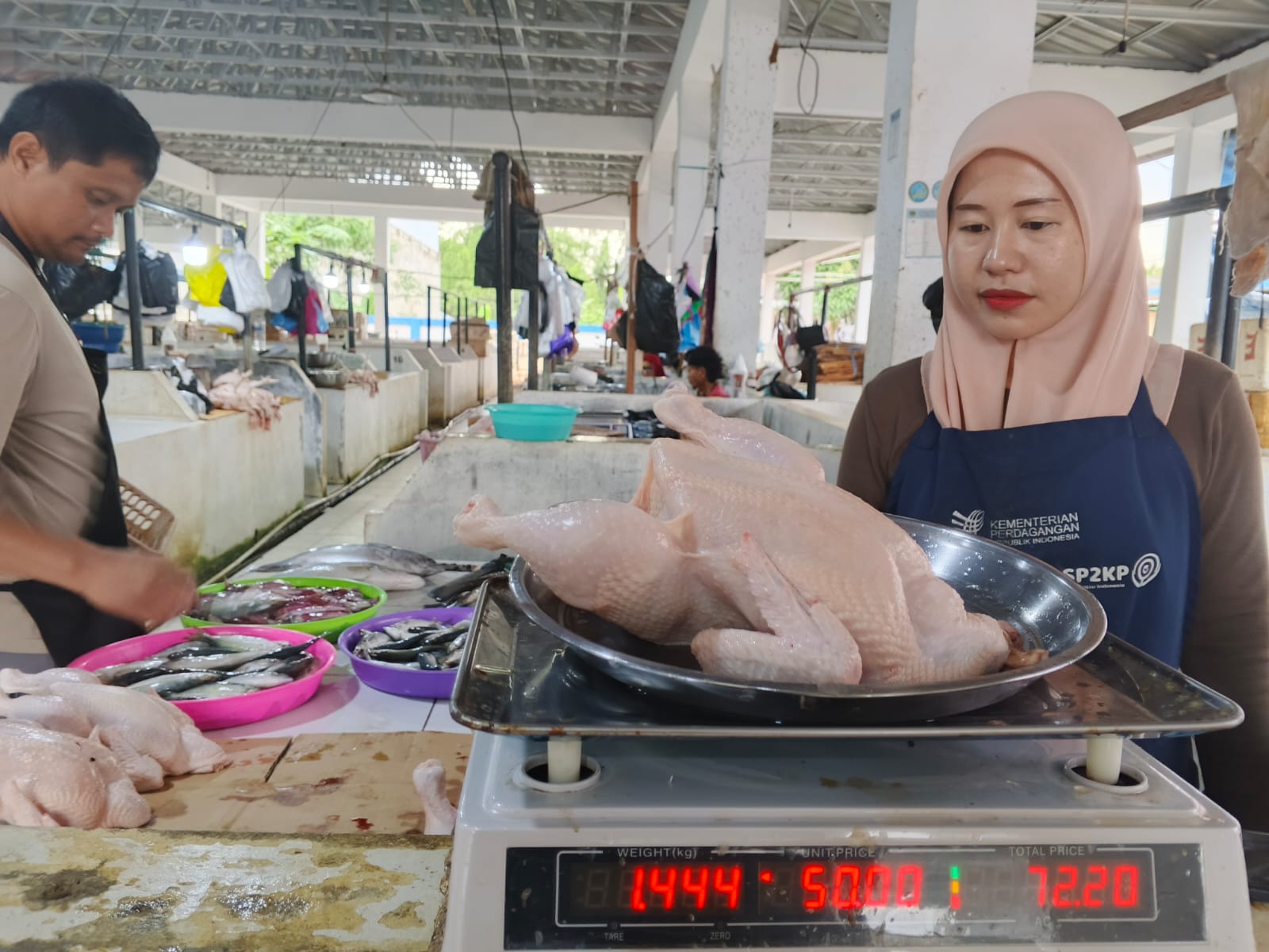 DIPASTIKAN AMAN: Selain lokal, daging ayam di Tana Tidung juga disuplai dari Berau.