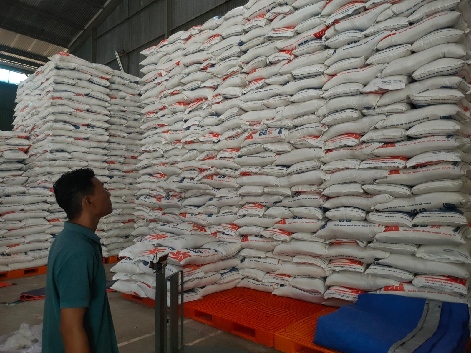 CADANGAN : Pemkot Tarakan memastikan ketersediaan cadangan pangan daerah dalam kondisi aman.