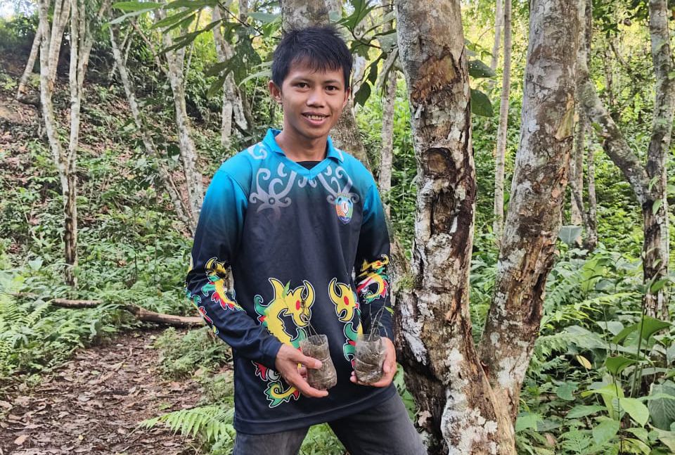 BIBIT GAHARU: Persiapan penanaman bibit gaharu oleh pembudidaya Desa Long Pada seusai pelatihan budi daya dan inokulan pohon gaharu.
