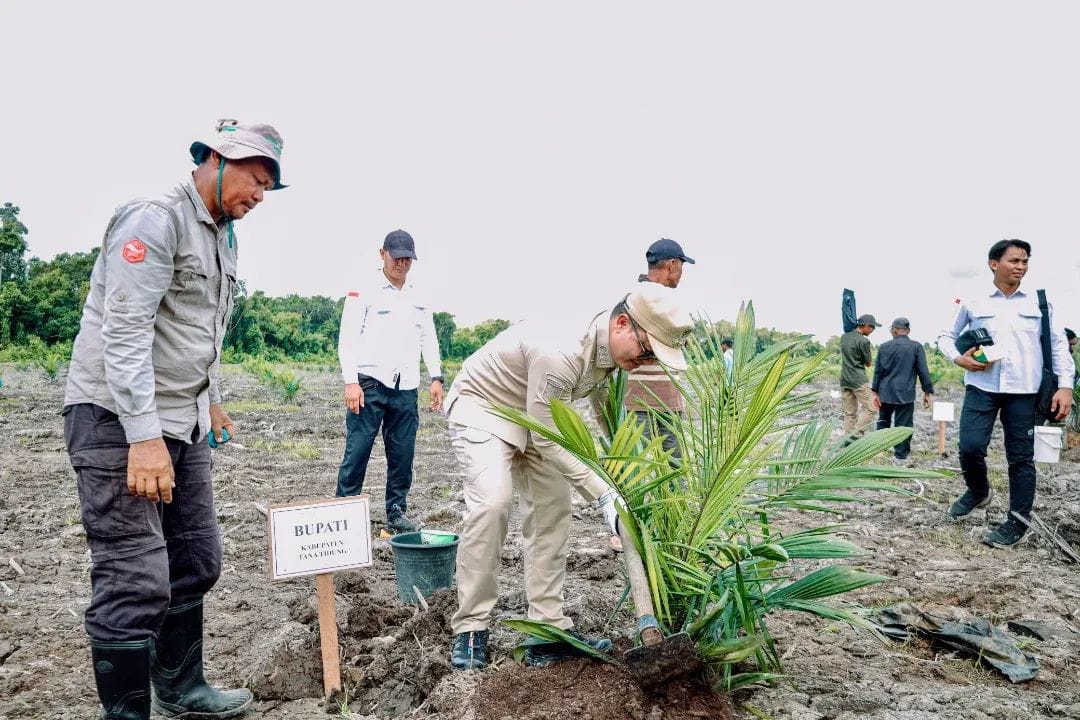 SIMBOLIS: Bupati Ibrahim Ali menanam sawit di lahan kebun plasma.(IST)