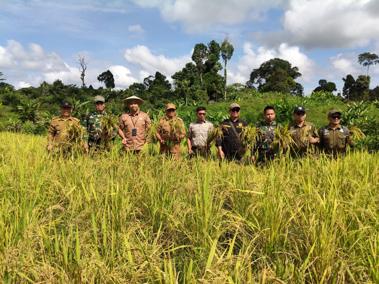 PRODUKSI LOKAL: Panen raya yang digelar di Desa Mendupo, Tana Tidung bulan lalu.