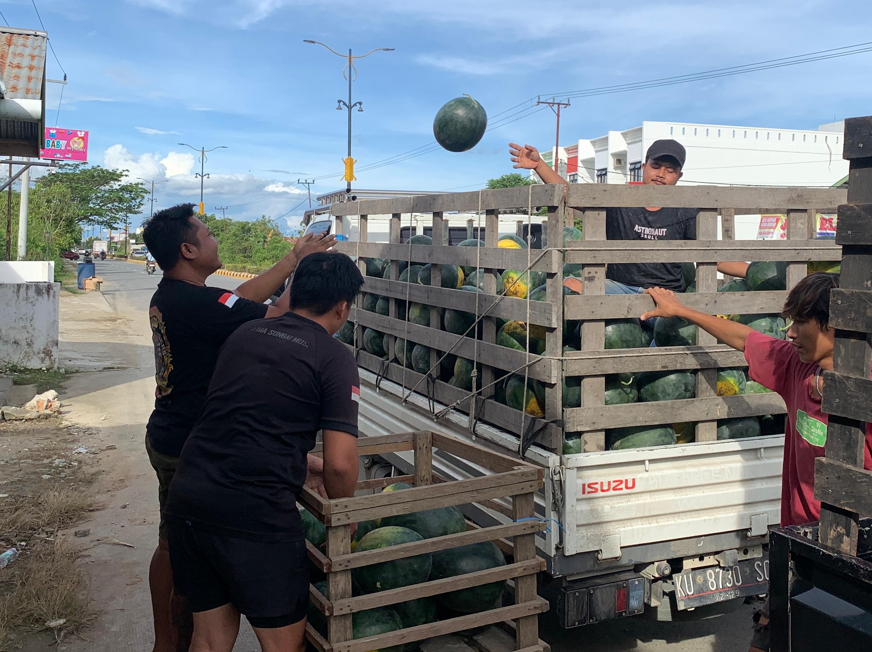 PENJUALAN NAIK: Proses pemilahan kualitas semangka lokal malinau oleh pekerja Toko Buah Semangka Malinau.
