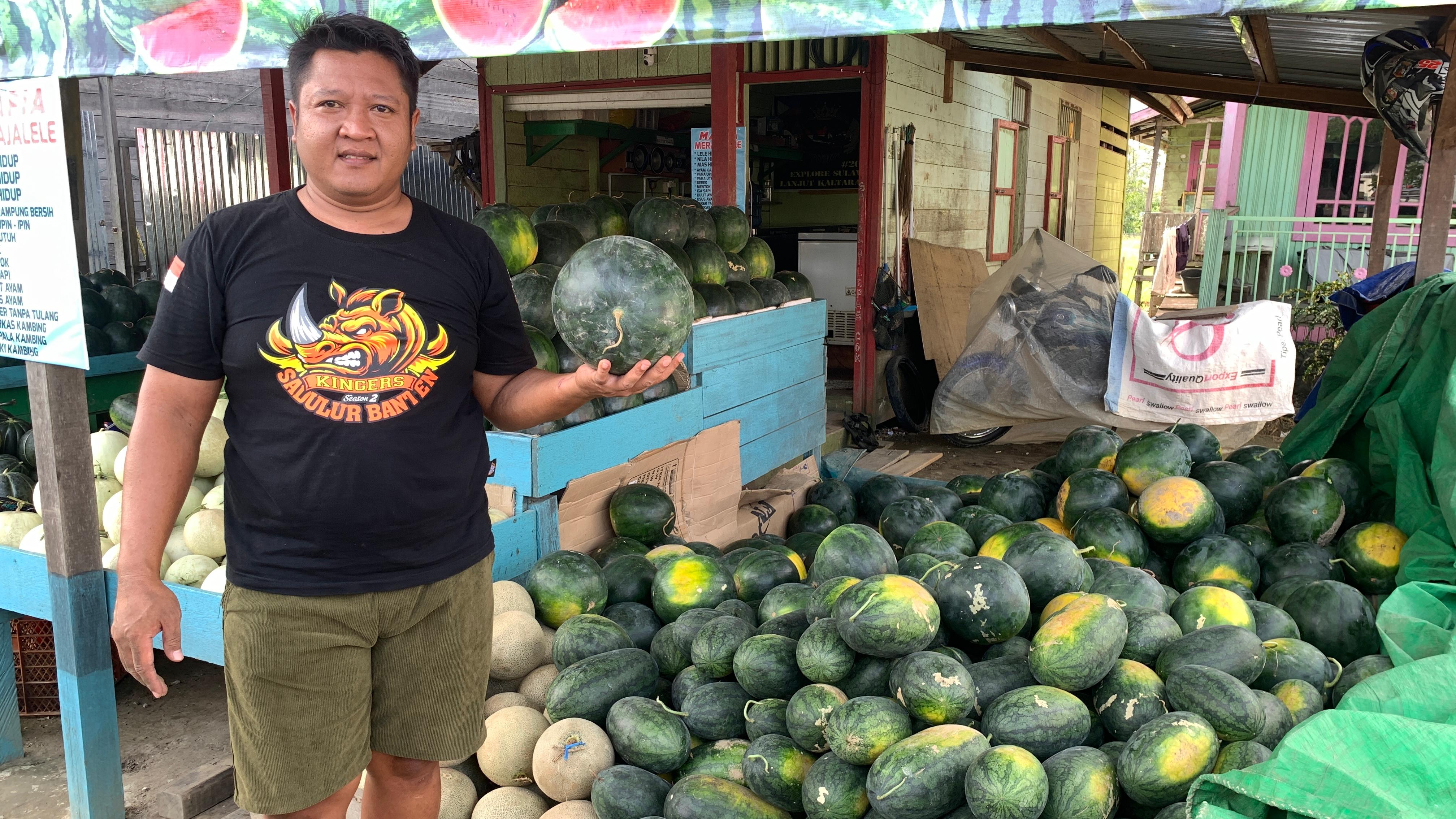 PENJUALAN NAIK: Proses pemilahan kualitas semangka lokal malinau oleh pekerja Toko Buah Semangka Malinau.