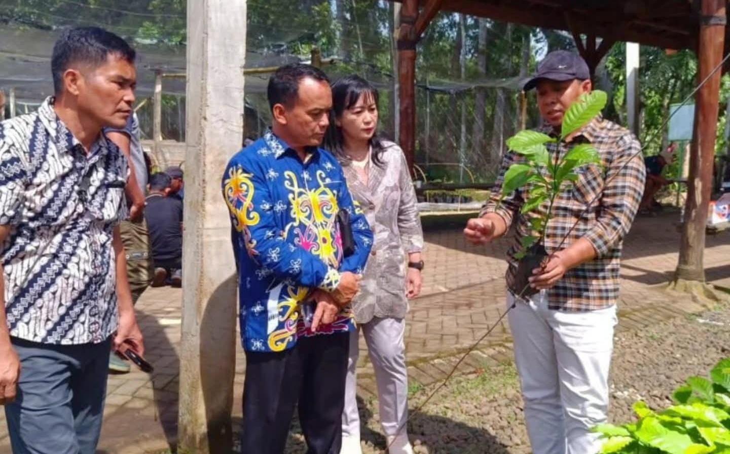 STUDI: Wabup Bulungan, Kilat saat melakukan kunjungan ke Pusat Riset Kopi-Kakao.  &nbsp;  