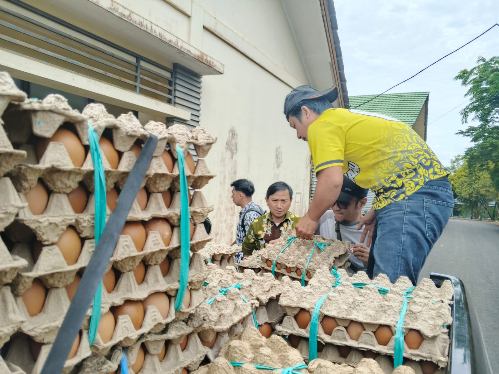 LOKAL: Aktivitas pekerja di salah satu pemasok telur di Tana Tidung.  &nbsp;  