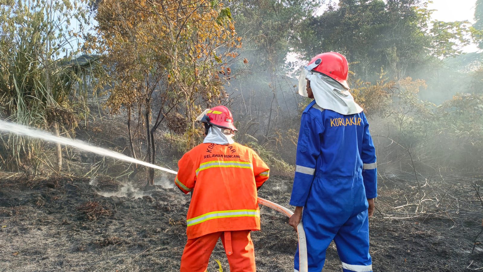 KENDALA : Penanganan kebakaran lahan di Kota Tarakan masih terkendala akses menuju lokasi kebakaran serta keterbatasan sumber air.  