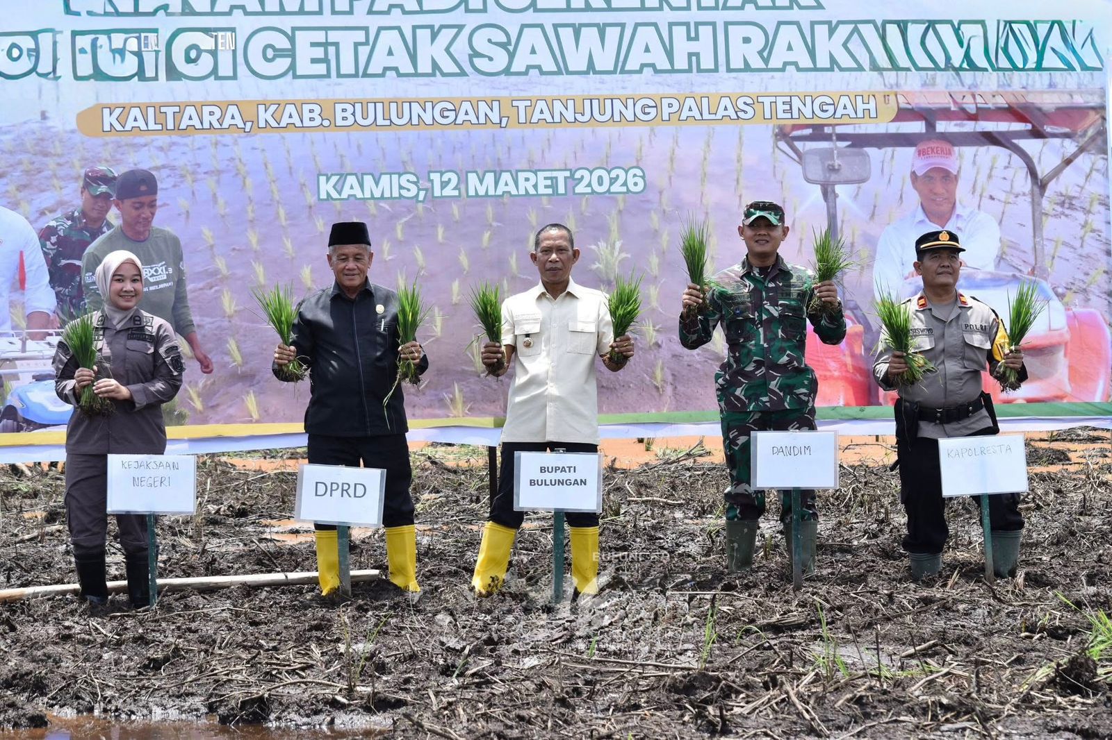CSR : Bupati Bulungan Syarwani mengikuti kegiatan tanam padi serentak di kawasan Cetak Sawah Rakyat (CSR).(Taslee/Radar Tarakan)  