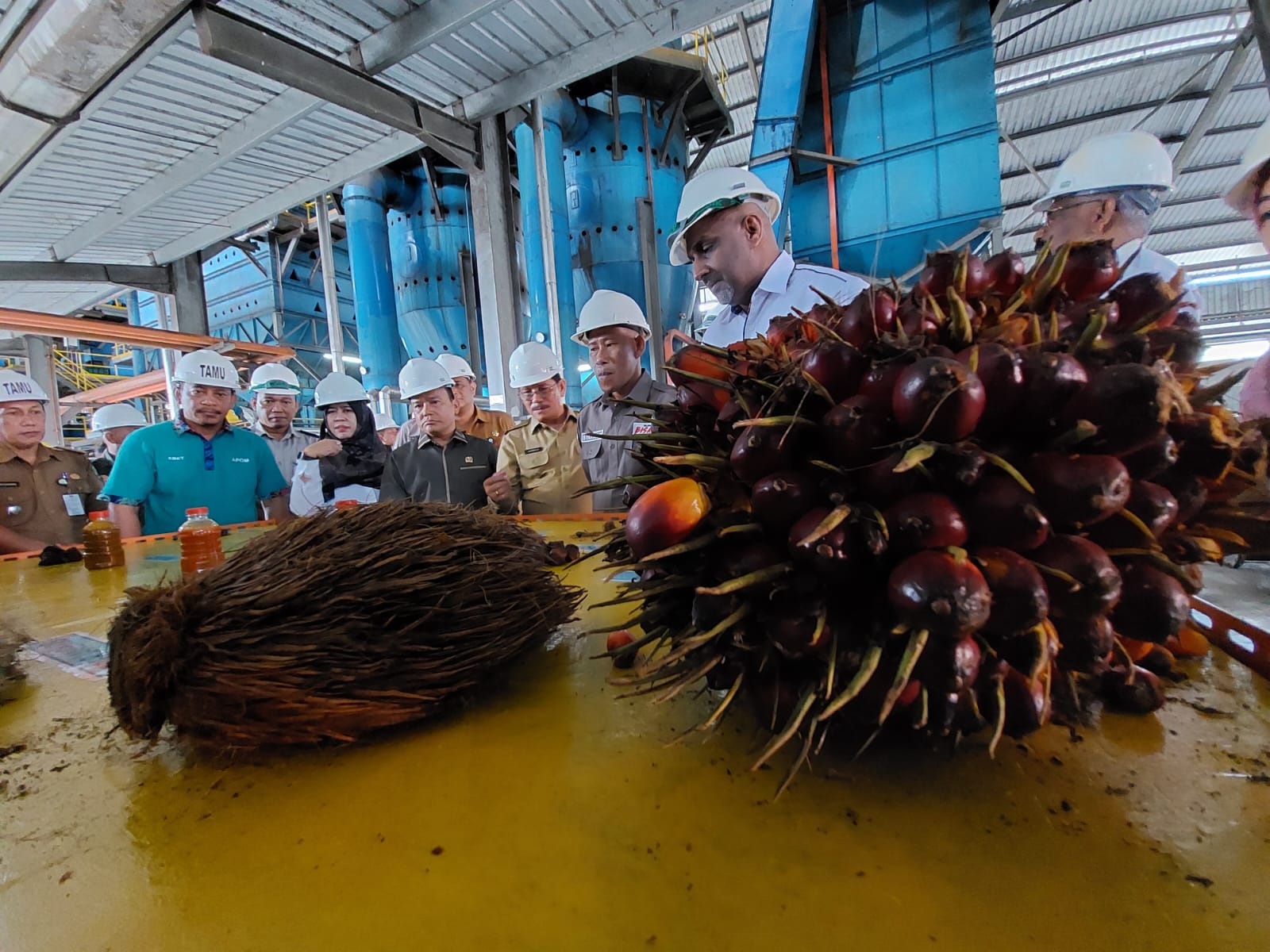 PERKEBUNAN SAWIT: Salah satu perusahaan perkebunan kelapa sawit yang beroperasi di Bulungan.