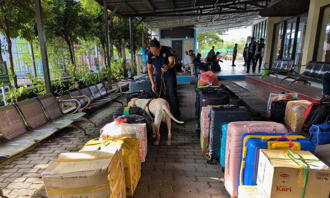 PENGAWASAN : Bea Cukai Tarakan menggunakan anjing pelacak untuk mendeteksi barang terlarang seperti narkotika dan komoditas ilegal lainnya.  