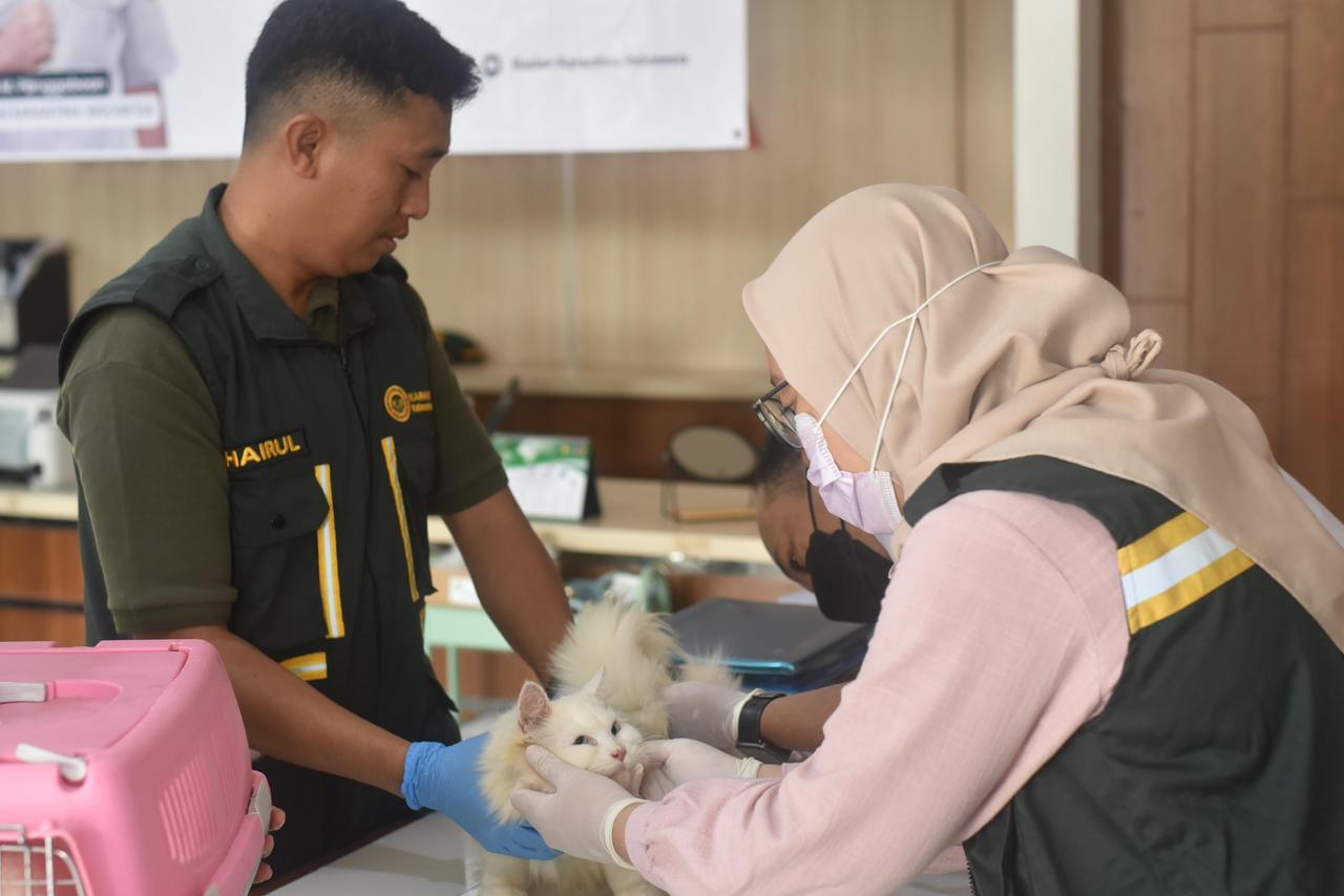 PENGAWASAN : Selama arus mudik berlangsung Karantina Kaltara meningkatkan layanan dengan adananya lonjakan pelayanan karantina.  