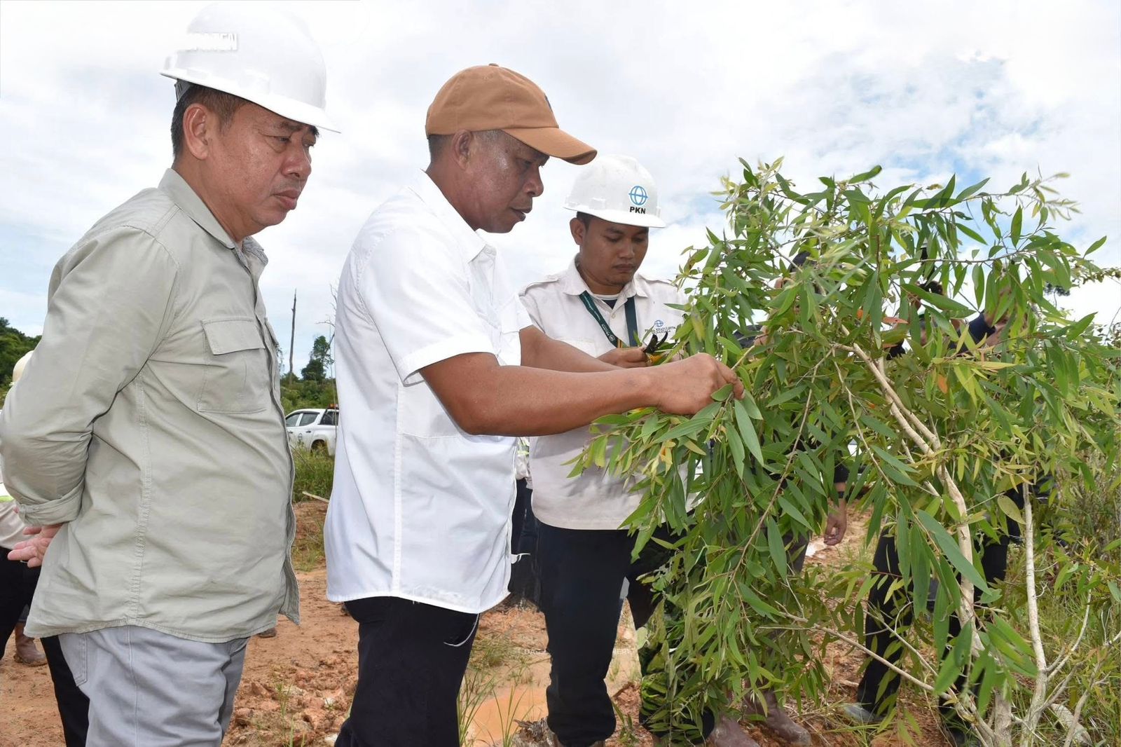 TANAMAN PRODUKTIF : Bupati Bulungan Syarwani ketika meninjau kawasan pasca tambang yang ditanami Atsiri, di Tanjung Palas Utara, belum lama ini. (Taslee/Radar Tarakan)  