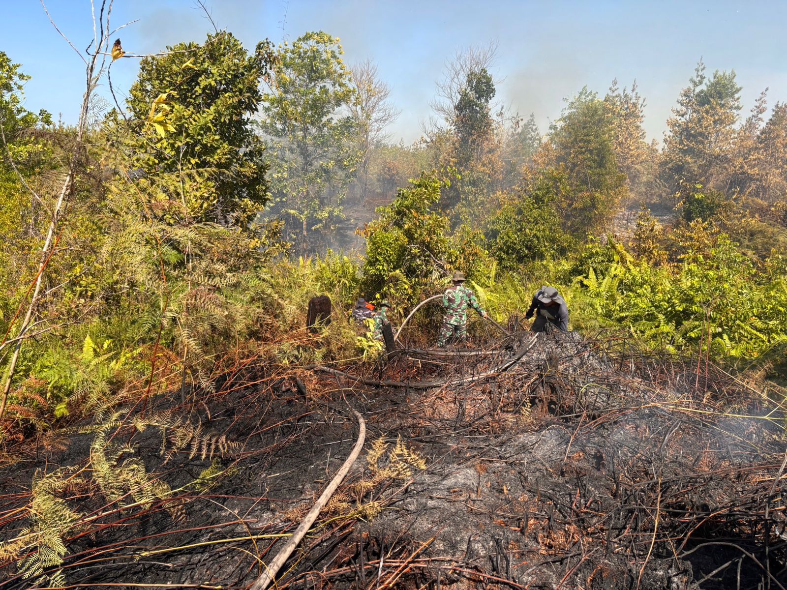 KEBAKARAN LAHAN : 6 hektar lahan di kawasan Jalan Providen, Binalatung, Pantai Amal, hangus terbakar pada Selasa (24/3).  