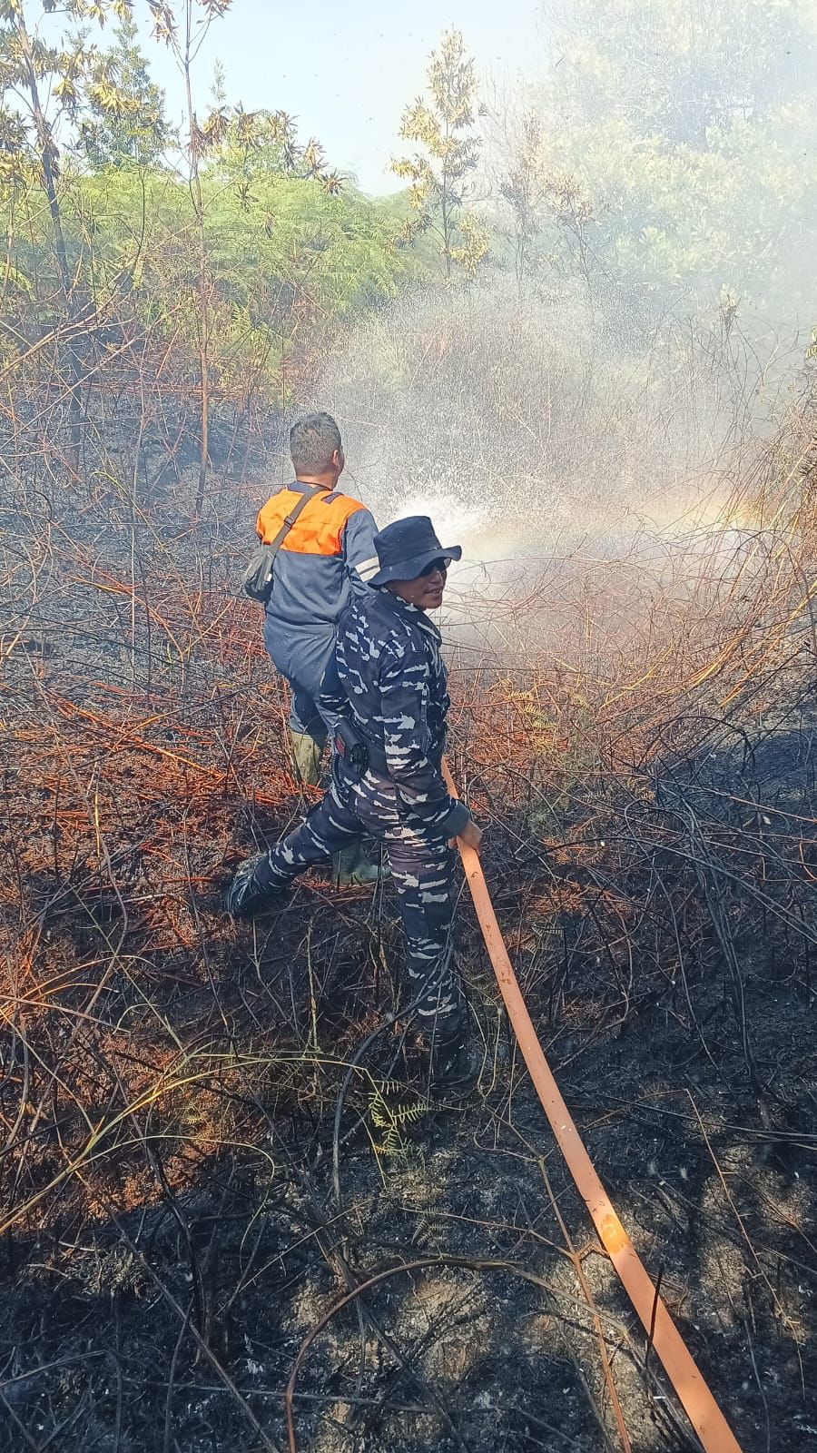PADAMKAN : Sejumlah petugas BPBD Tarakan berusaha memadamkan api yang membakar lahan di kawasan Binalatung.  