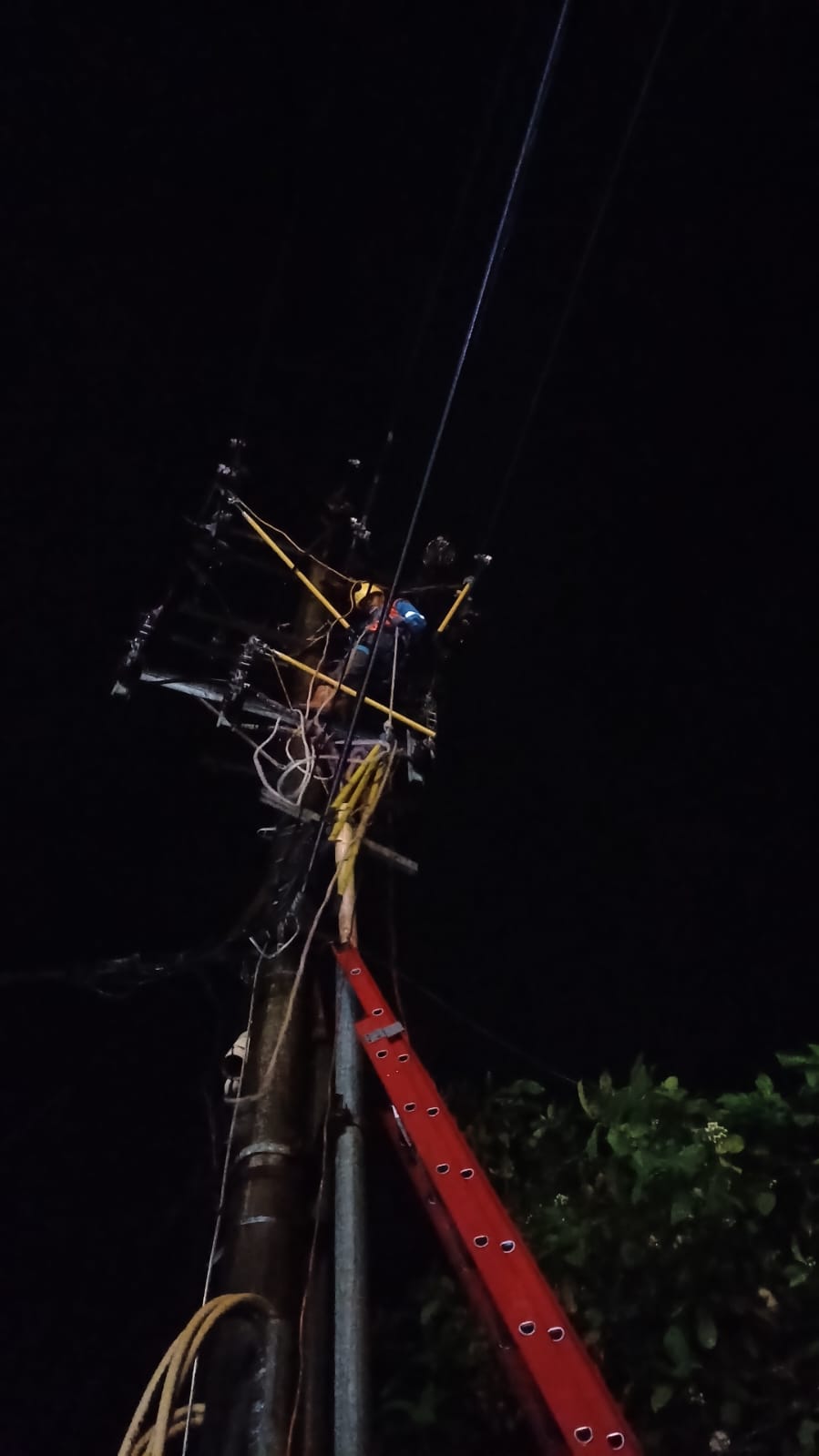 PADAM: Perbaikan jaringan listrik yang dilakukan petugas PLN.