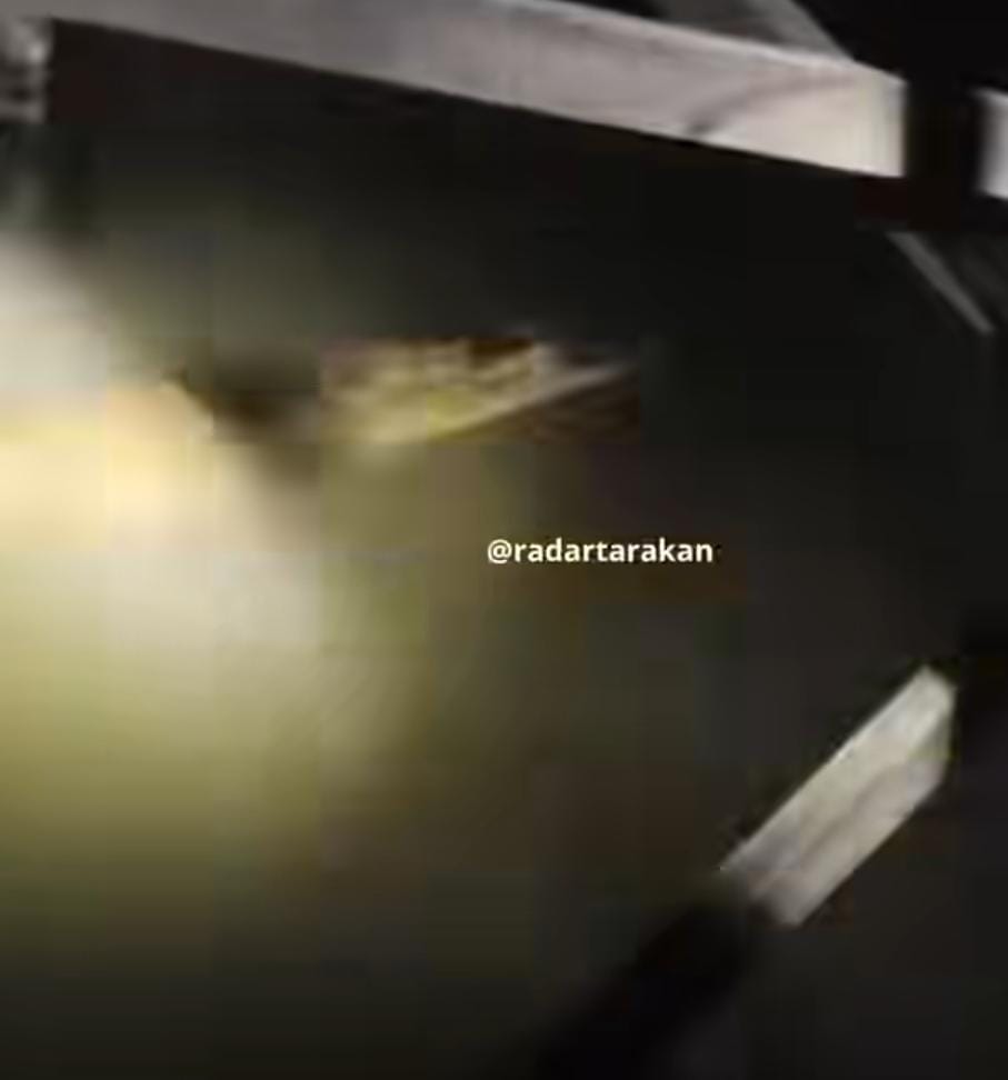Tangkapan layar video penampakan buaya di pemukiman warga.  