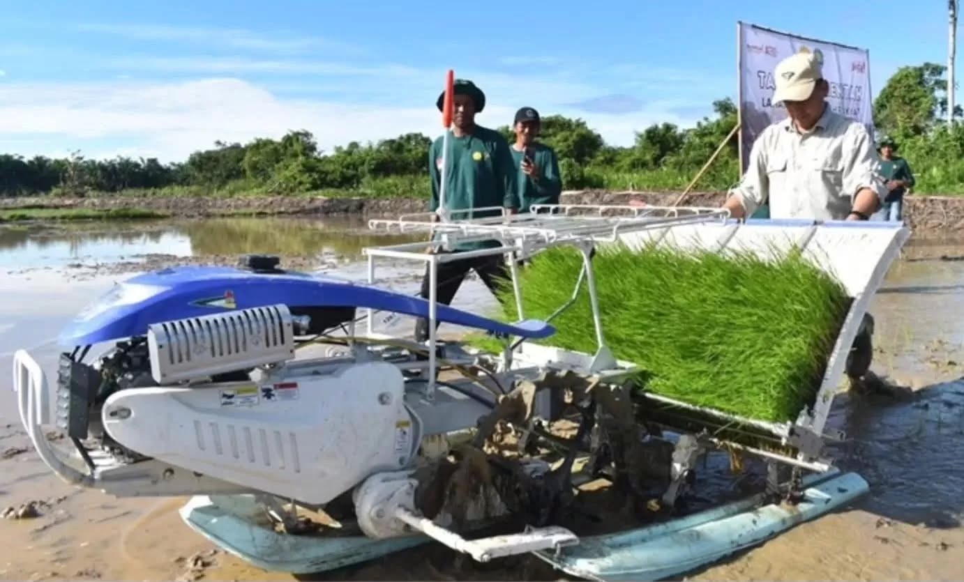 TANAM PADI: Wabup Bulungan, Kilat saat mengoperasikan mesin tanam benih di lahan persawahan di Bulungan.