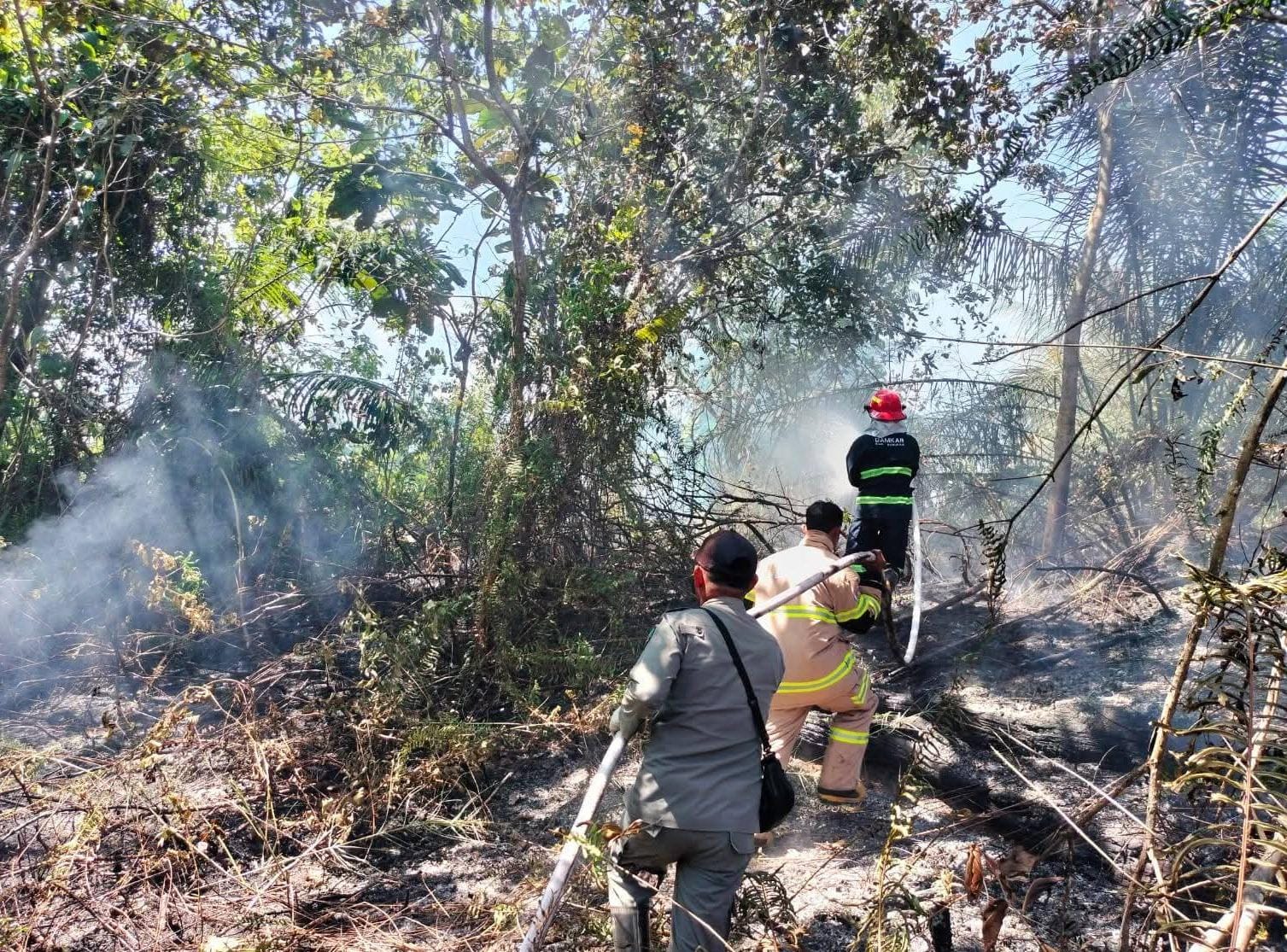 PEMADAMAN : Personel Damkar Nunukan berupaya melakukan pemadaman atas karhutla yang terjadi di Desa Setabu, Kecamatan Sebatik Barat, pada Kamis (26/3).