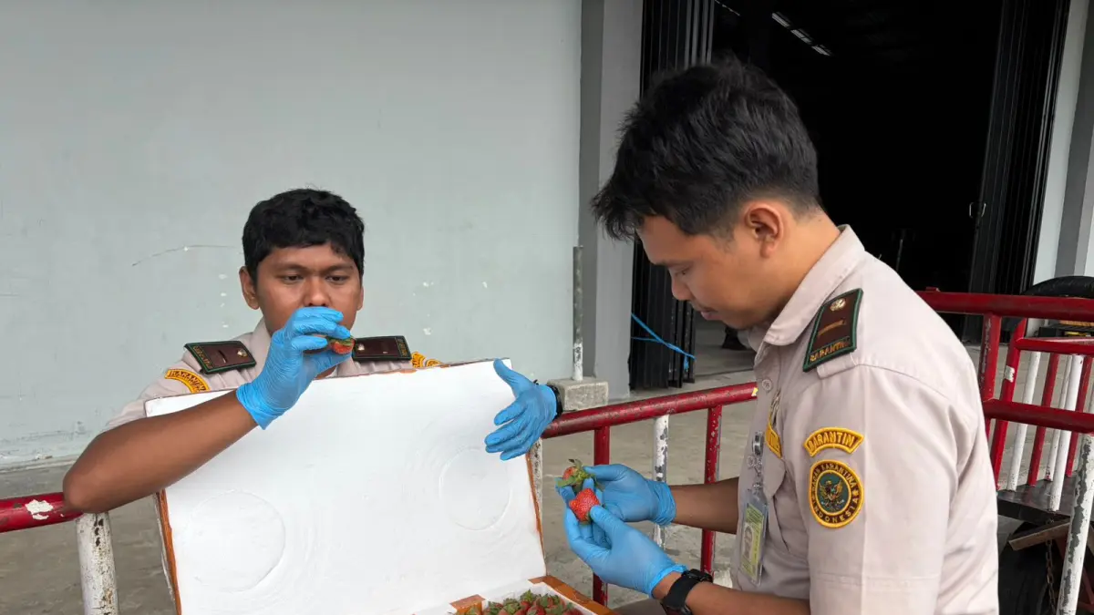PASOKAN : Beberapa pasokan komiditi Kaltara masih bergantung bahan pangan dari luar daerah. KARANTINA KALTARA&nbsp;