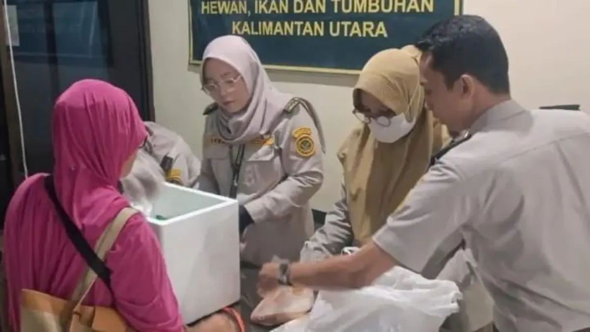 PENGAWASAN: Karantina Kaltara akan meningkatkan pengawasan dengan masih adanya pelanggaran berupa komoditas tanpa dokumen resmi yang ditemukan. KARANTINA KALTARA&nbsp;