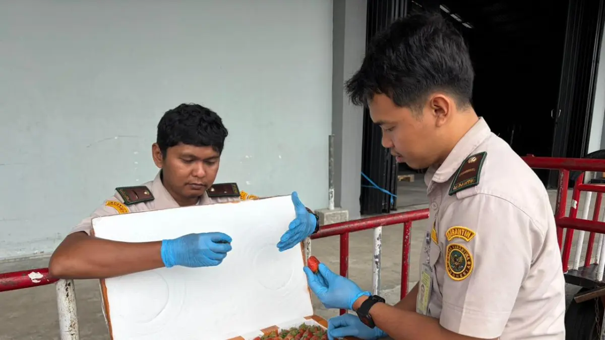 PENGAWASAN: Karantina Kaltara akan memperketat pengawasan terhadap ekspor produk UMKM Kaltara agar risiko penolakan hingga pemusnahan barang di negara tujuan tidak terjadi.&nbsp;ISTIMEWA
