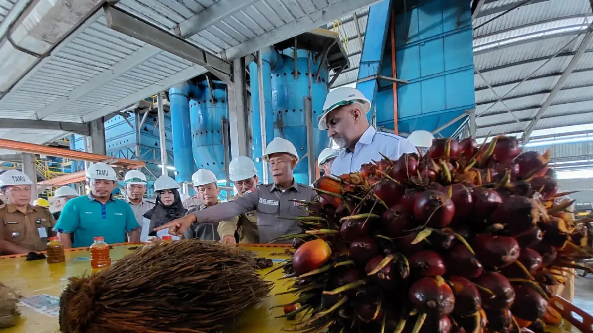 PERKEBUNAN: Bupati Bulungan saat meninjau PKS di wilayah Bulungan. FOTO: DOK PEMKAB BULUNGAN