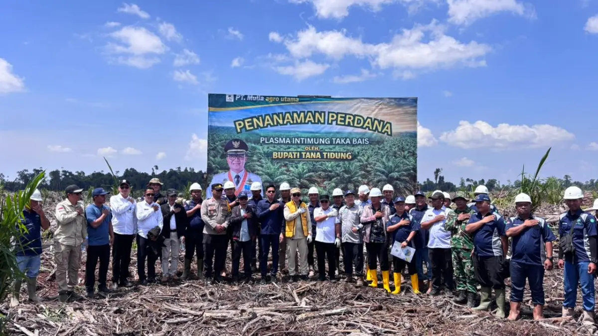ABADIKAN MOMEN: Bupati Ibrahim Ali bersama manajemen PT MAU dan unsur terkait lainnya di momen penanaman perdana sawit di lahan plasma. 