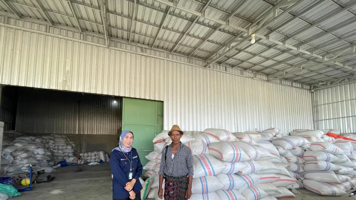 Mantri BRI mendampingi petani di Lombok dalam pengelolaan hasil panen, sebagai bagian dari upaya mendorong akses pembiayaan dan penguatan ekonomi desa.