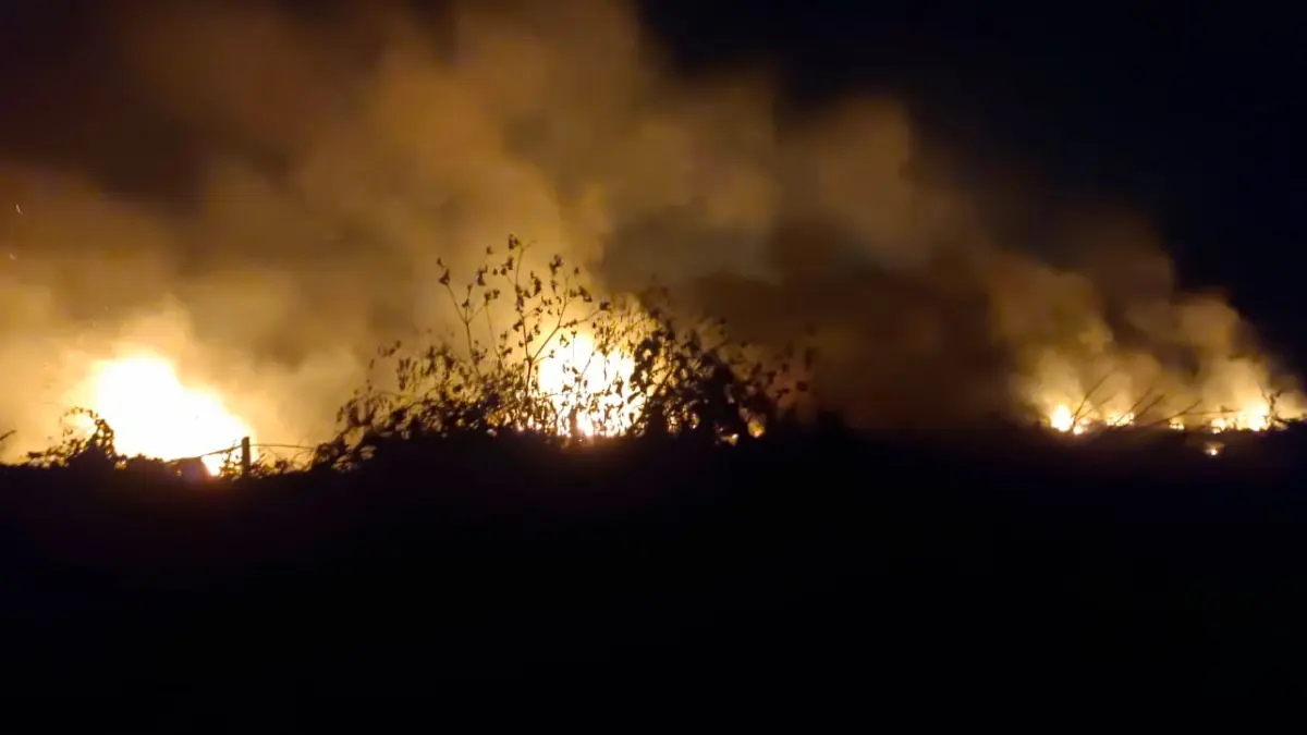 KEBAKARAN LAHAN: Api membakar lahan di depan Mapolres Tana Tidung setelah ditinggal pemiliknya makan tadi malam. (FOTO; DOK DISDAMKARMAT)