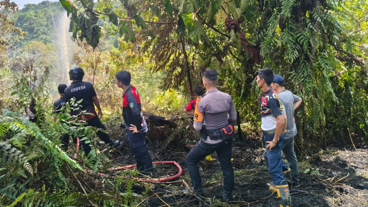 BERJIBAKU: Tim gabungan melakukan pemadaman kebakaran lahan di Tana Tidung . FOTO: DOK DISDAMKARMAT