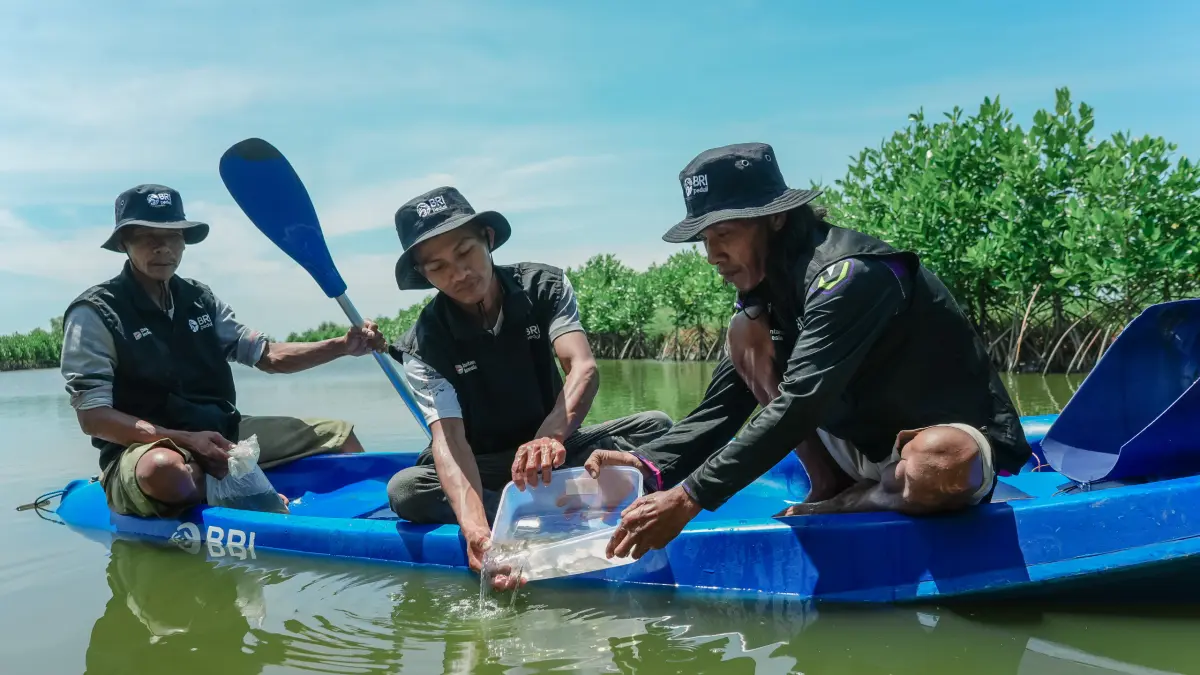 Tim BRI Peduli melakukan kegiatan pelestarian lingkungan di kawasan mangrove dengan melepas bibit ikan sebagai bagian dari upaya menjaga ekosistem pesisir.