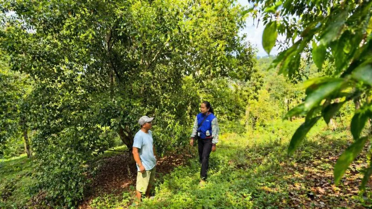 Mantri BRI melakukan kunjungan langsung dan berdialog dengan nasabah di area perkebunan wilayah pegunungan Sulawesi Tenggara, sebagai bentuk komitmen mendukung pengembangan ekonomi masyarakat hingga pelosok.