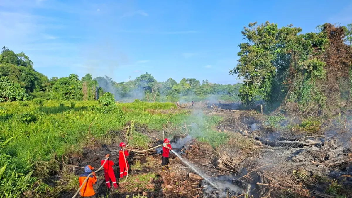 KARHUTLA: Penanganan karhutla di salah satu titik di wilayah Kaltara. FOTO: DOK BPBD KALTARA