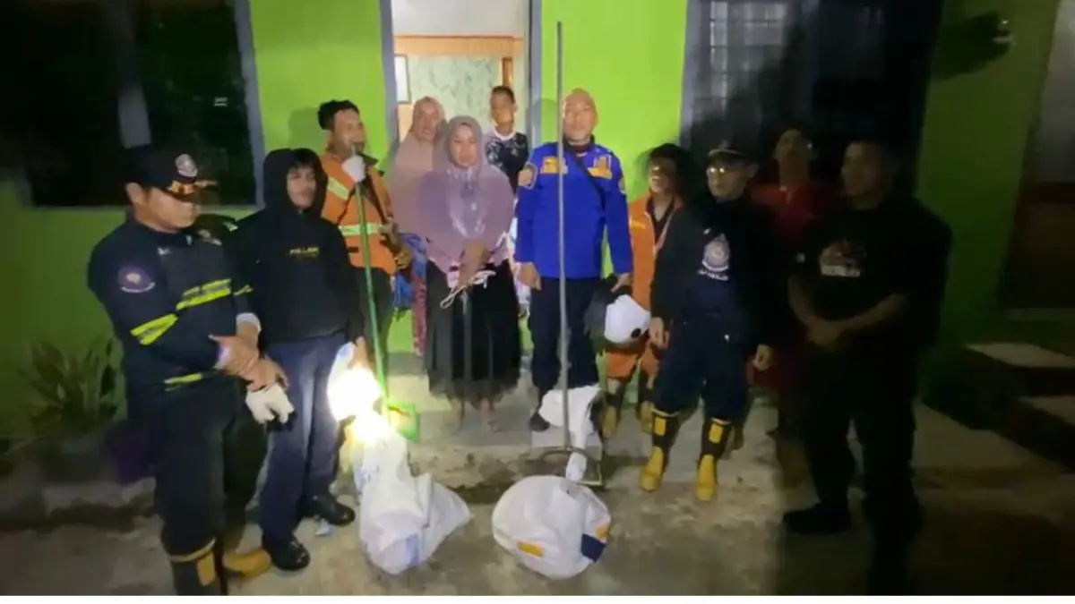 DIAMANKAN: Petugas mengamankan 7 anjing yang dianggap meresahkan masyarakat. ISTIMEWA