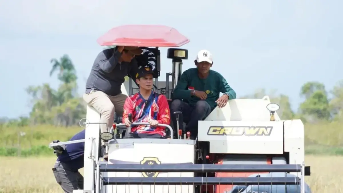 PANEN : Bupati Nunukan H. Irwan Sabri saat panen padi bersama dengan menggunakan alsintan (alat mesin pertanian) Combine Harvester di Kampung Tengah, Sungai Lancang. PROKOMPIM