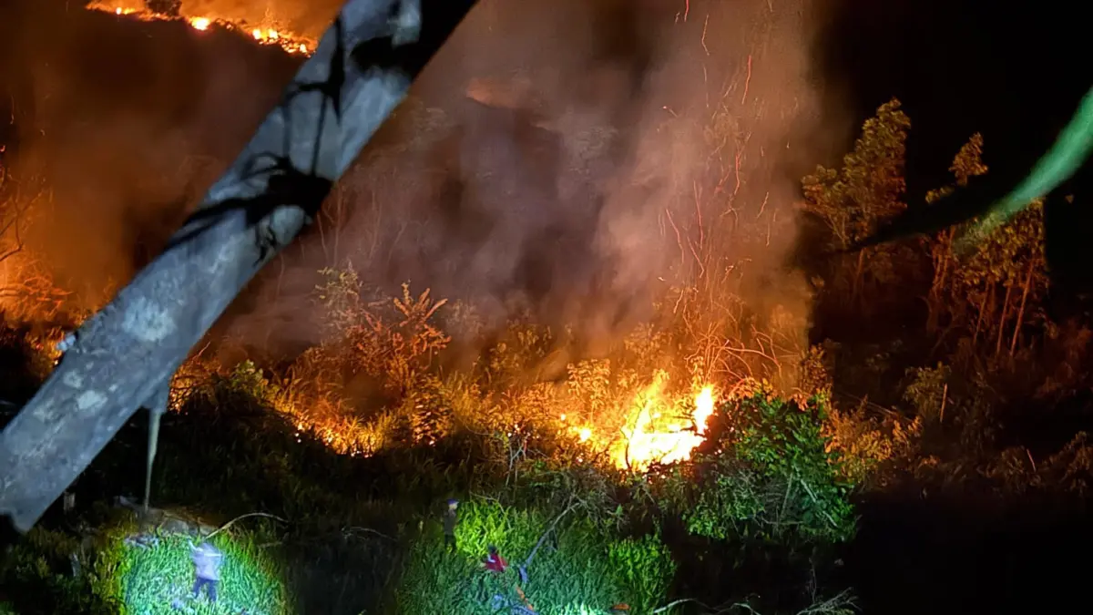 PEMADAMAN : Tim gabungan berjibaku memadamkan kebakaran hutan dan yang terjadi di dua titik.&nbsp;
