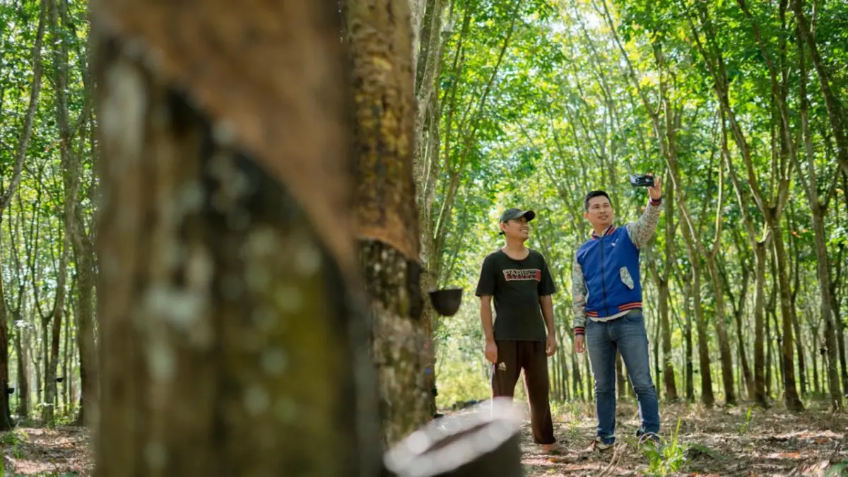 Petani karet menunjukkan aktivitas di perkebunan saat proses penyadapan getah sebagai bagian dari sektor perkebunan rakyat.