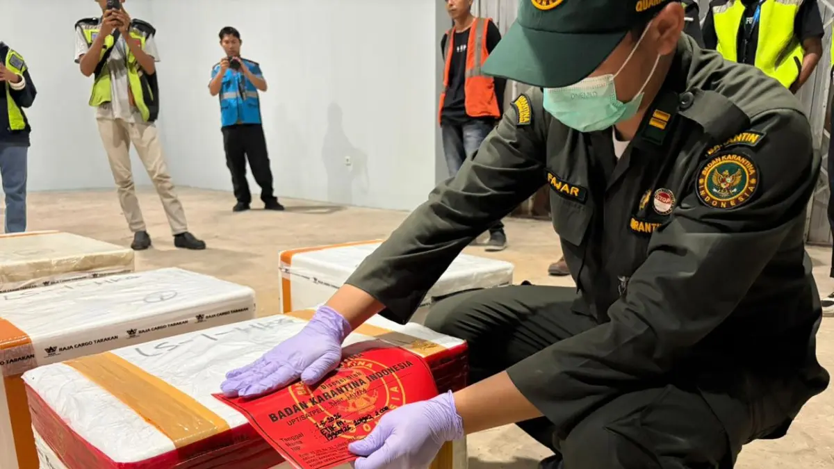 PELUANG : Dengan adanya ekspor langsung dari Tarakan ke Hong Kong dinilai menjadi momentum strategis untuk meningkatkan daya saing produk lokal di pasar internasional. ISTIMEWA