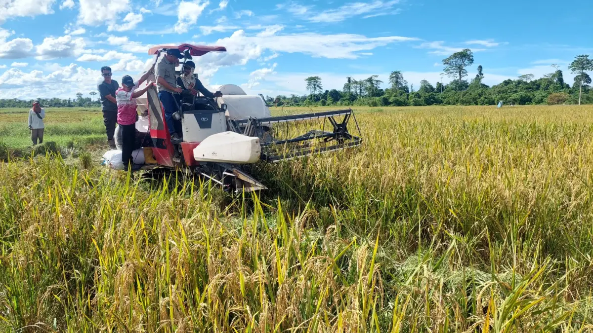 KETAHANAN PANGAN: Kawasan pertanian di wilayah Bulungan. FOTO: PEMKAB BULUNGAN
