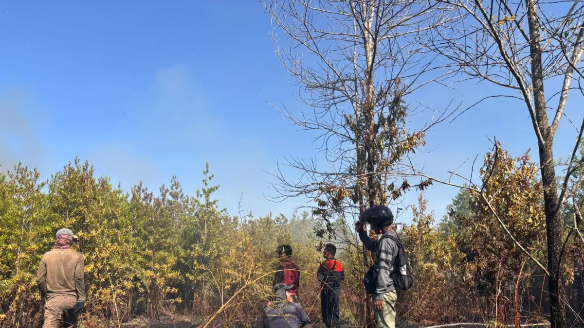 RAWAN : Karhutla masih sangat rawan terjadi Kota Tarakan terutama di Pantai Amal.&nbsp;