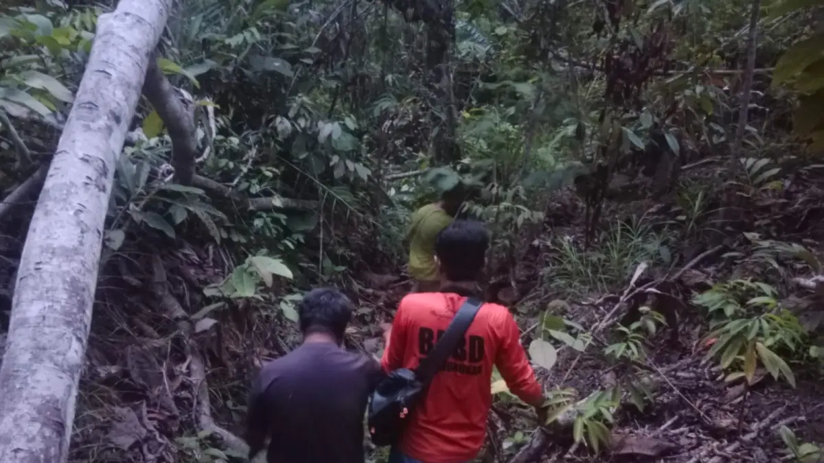 EVAKUASI : Proses evakuasi seorang warga yang ditemukan usai tersesat di kawasan Air Terjun Binusan. 