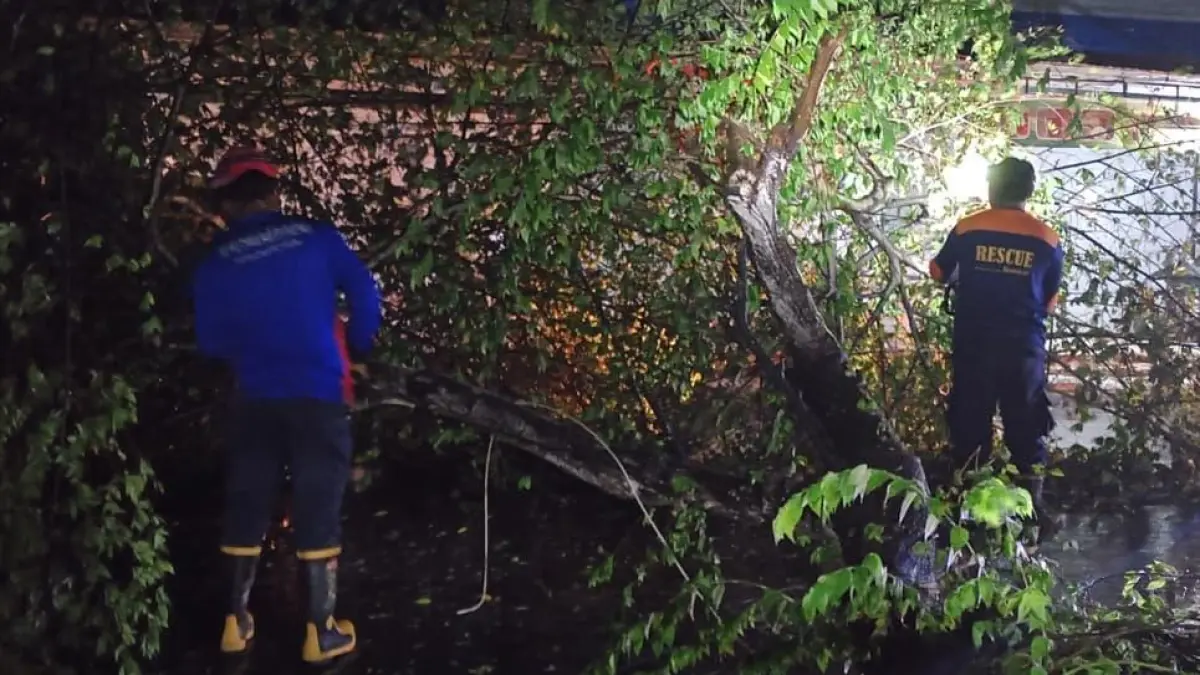 PEMBERSIHAN : Di tengah cuaca hujan, petugas rescue berjibaku membersihkan daun, ranting, dahan dan batang daun yang roboh di Jalan Jenderal Sudirman, RT 01, Nunukan.&nbsp;