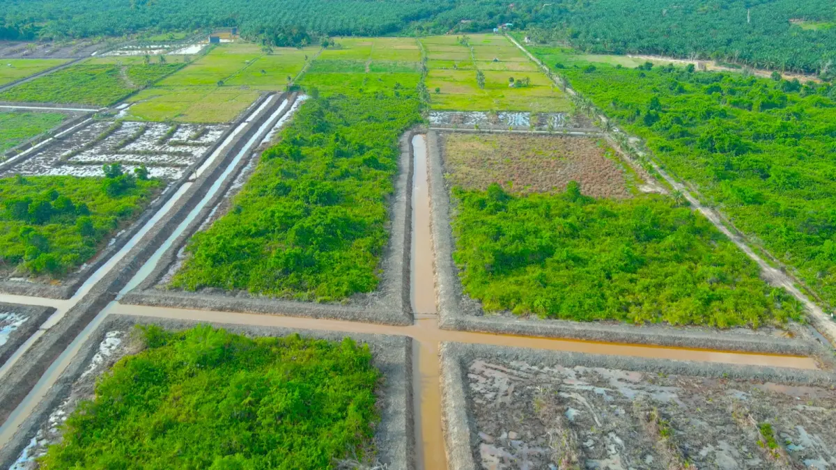 REHABILITASI: pembangunan, peningkatan, rehabilitasi, operasi dan pemeliharaan jaringan irigasi seluas 12.035 hektare sepanjang 2025 berhasil dituntaskan BWS Kalimantan V Tanjung Selor. ISTIMEWA