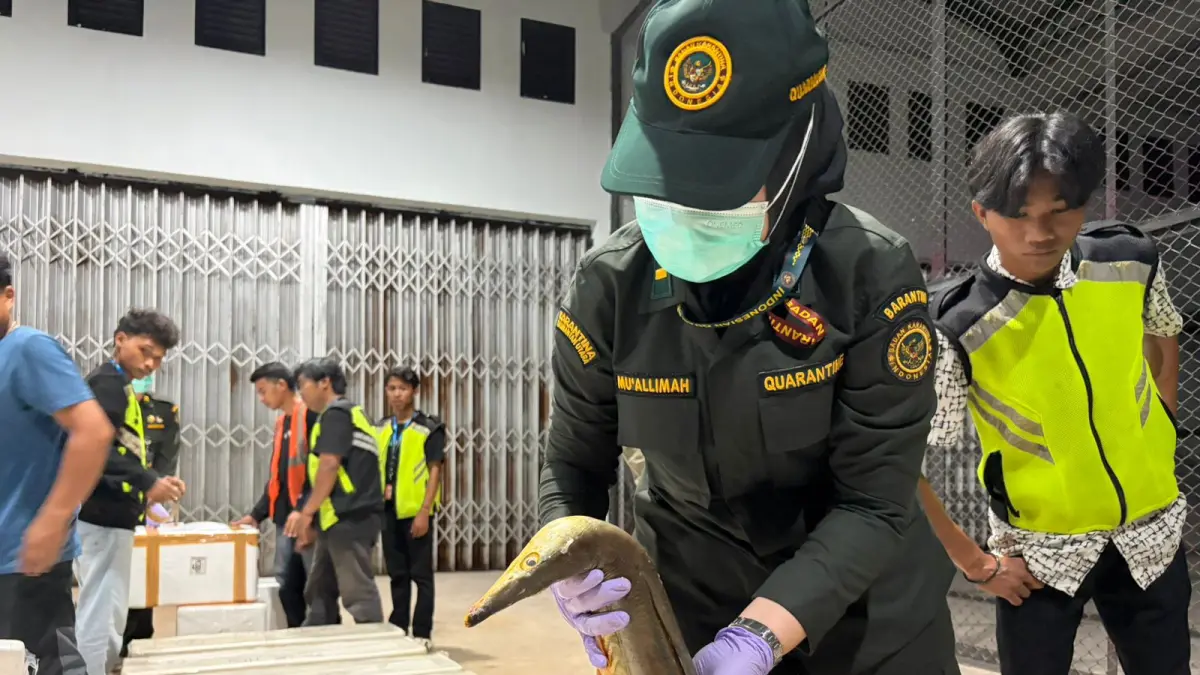 KESULITAN : Persyaratan administrasi yang dinilai cukup kompleks dikhawatirkan membuat pelaku usaha kecil dan menengah kesulitan memanfaatkan jalur ekspor langsung. ISTIMEWA