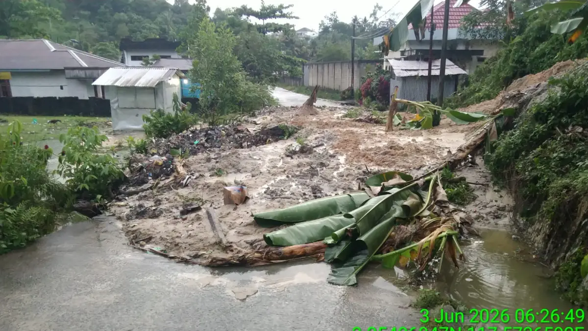 BENCANA : Tidak hanya karhutla BPBD Tarakan juga berharap masyarakat waspada terhadap bencana lain seperti pohon tumbang dan longsor. 