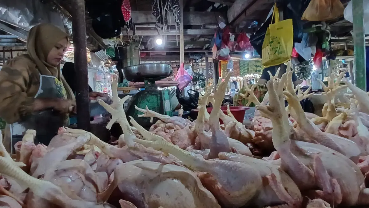 PASAR: Aktivitas pasar tradisional perdagangan di Kota Tarakan. AGUS DIAN ZAKARIA/RADAR TARAKAN