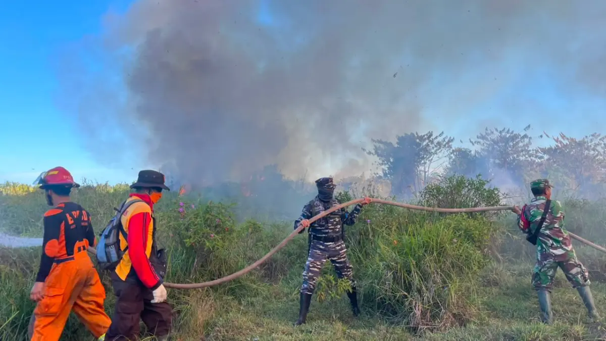 SOROTI : Aktivitas pembukaan lahan dengan cara dibakar masih menjadi sorotan BPBD Tarakan terhadap terjadinya karhutla. ISTIMEWA