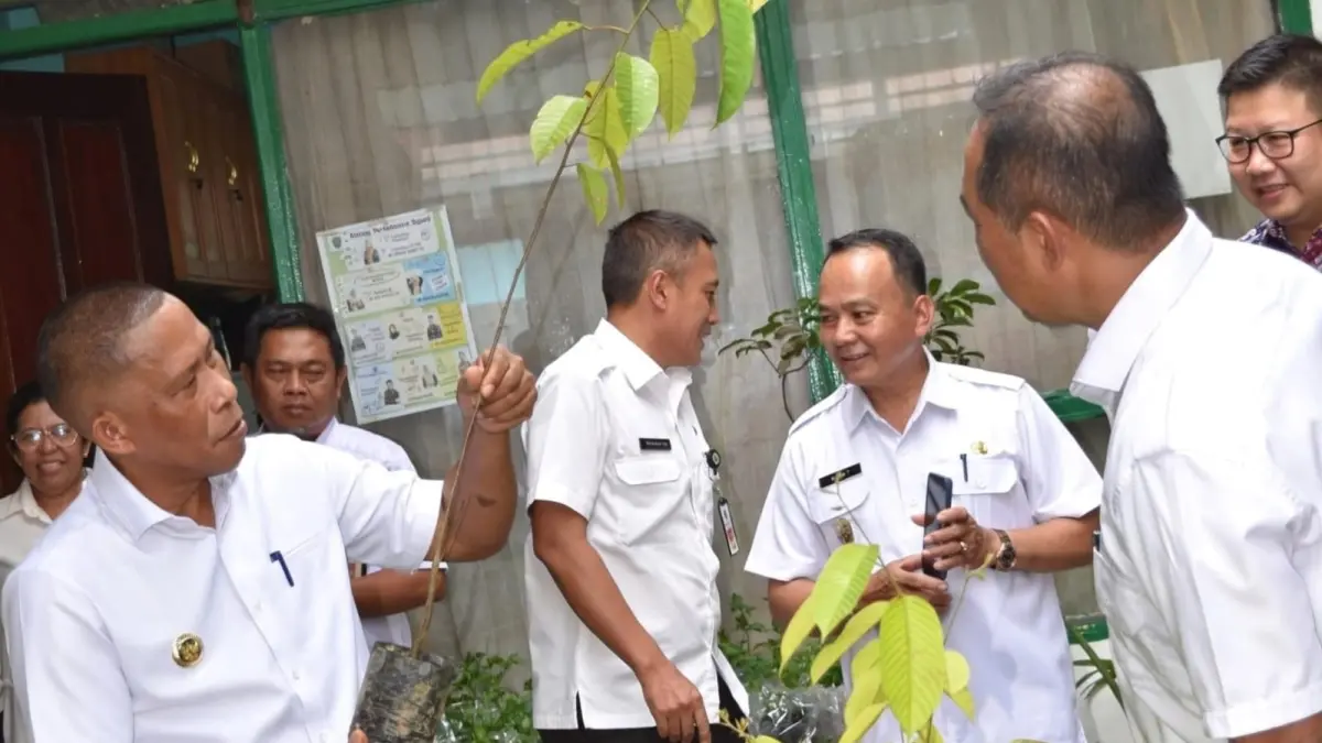 BIBIT KOPI: Bupati Bulungan, Syarwani saat mengecek bibit kopi. FOTO: RADAR TARAKAN