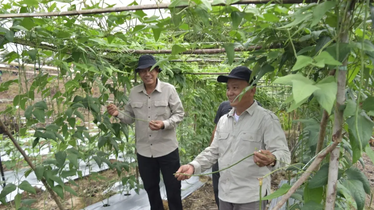KAWASAN AGROKOMPLEKS: Wakil Bupati Bulungan, Kilat didampingi Sekda Bulungan Risdianto meninjau pengembangan kawasan agrokompleks di Desa Long Buang. FOTO: RADAR TARAKAN