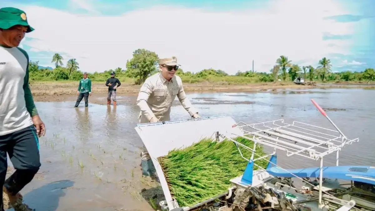TANAM SERENTAK: Bupati Ibrahim Ali langsung turun ke sawah melakukan penanaman  di Tideng Pale Seberang, Selasa (30/6). FOTO: DISKOMINFO