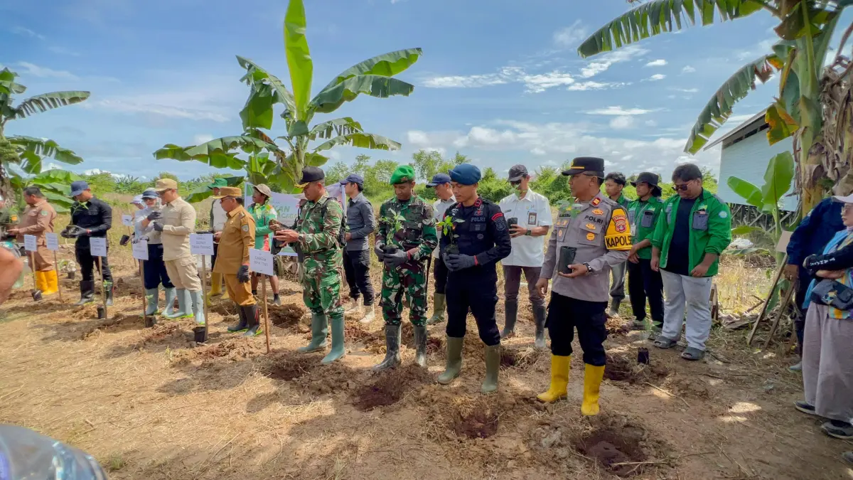 TANAM SERENTAK: Pemkab dan TNI melakukan penanaman padi secara simbolis di kawasan Tideng Pale sebarang, Selasa (30/6).